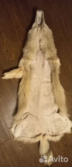 Шкура волка