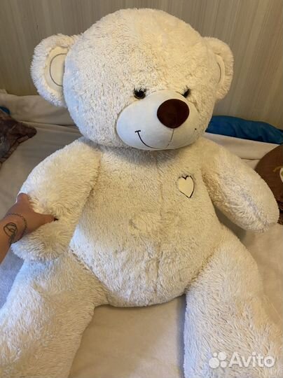 Плюшевый медведь