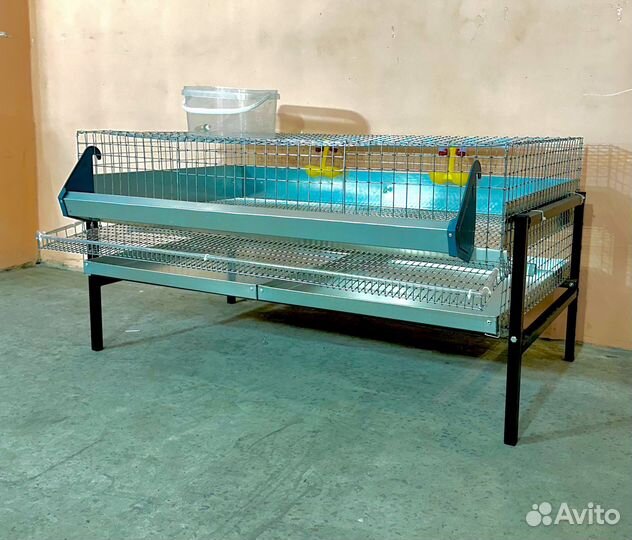 Клетка для перепелов