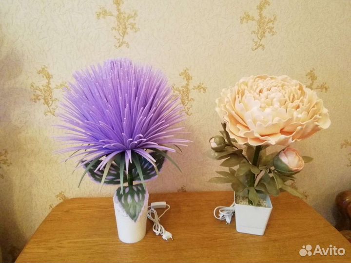 Интерьерные цветы