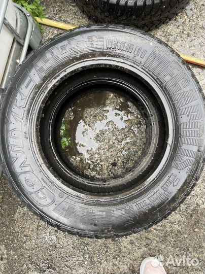 Bridgestone Blizzak Revo GZ