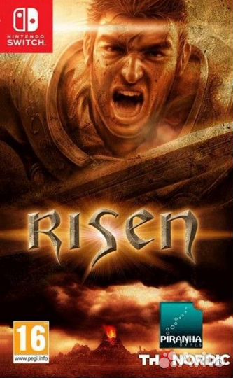 Risen Switch