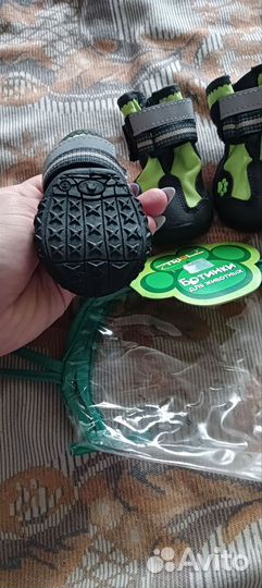 Ботинки для собак