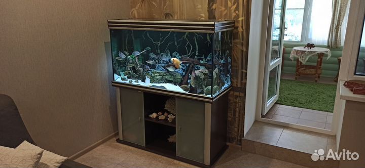 Аквариум Aquatlantis с оборудованием Eheim