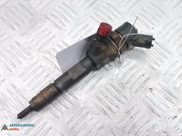 Форсунка Renault Megane 2 2005 8200606383