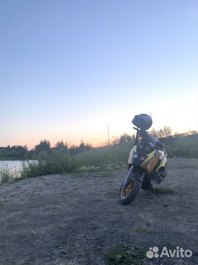 Irbis 1z50r 2т