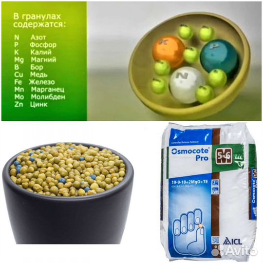 Удобрение осмокот