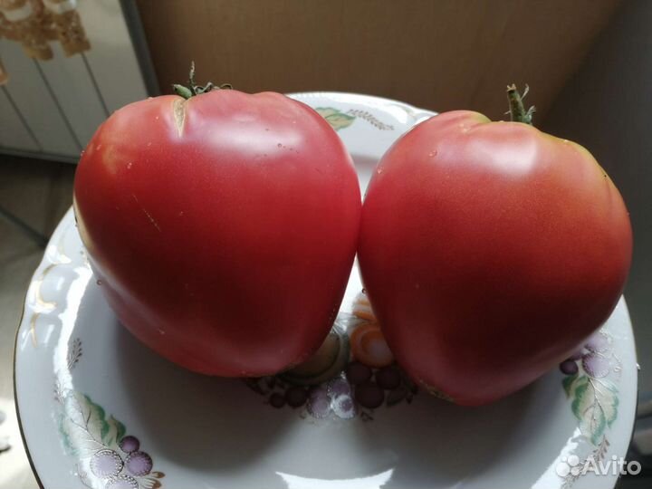 Семена томатов
