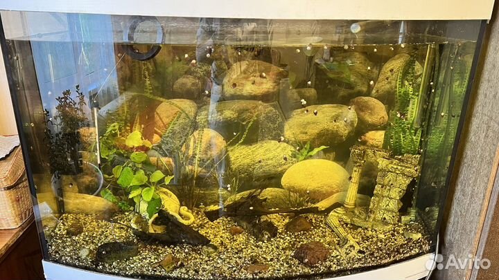 Аквариум с тумбой 200 литров