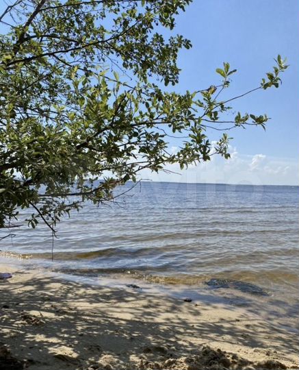 Участок 12,3 сот. (ИЖС)