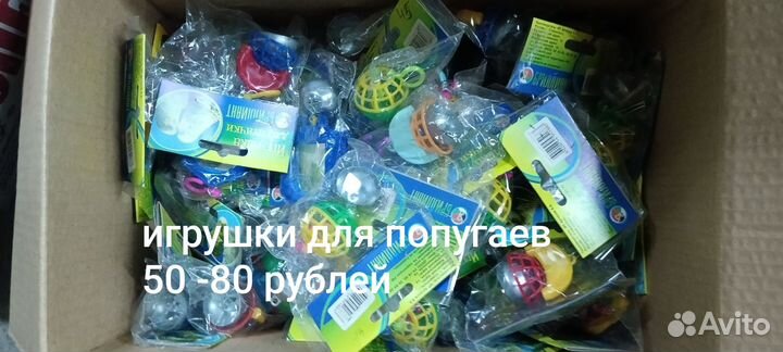 Зоотовары остатки