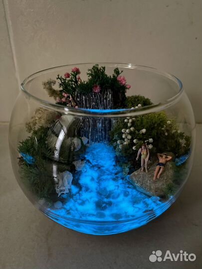 Моссариум мини