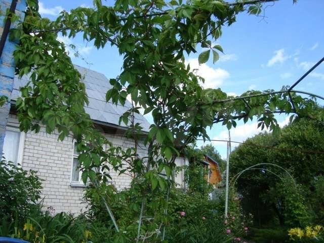 Дом 80 м² на участке 14 сот.