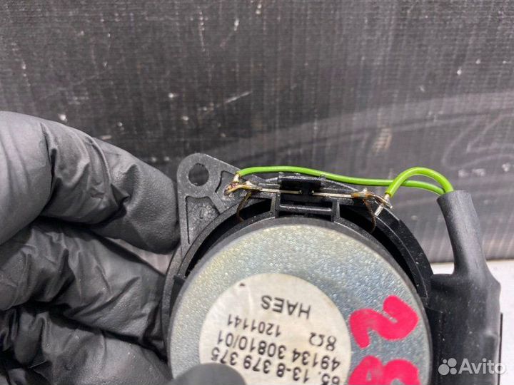 Динамик Bmw X5 E53 M62B44 2001