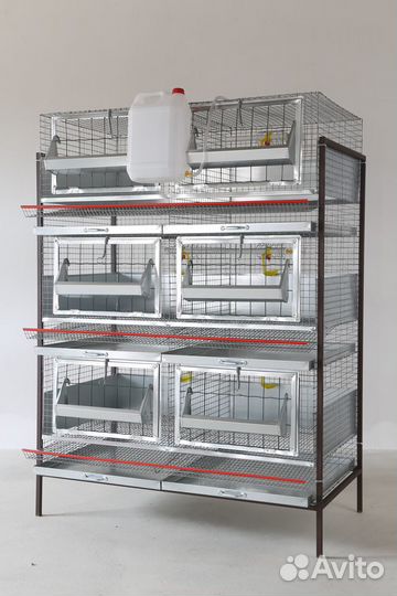 Клетка для бройлеров (кб-3.6)