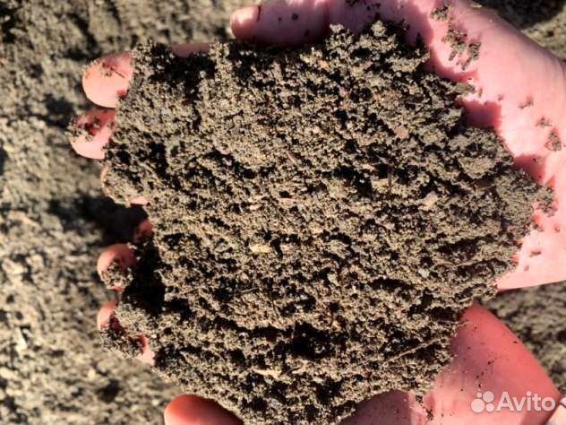 Торф, перегной и плодородная почва - смесь 25 литр