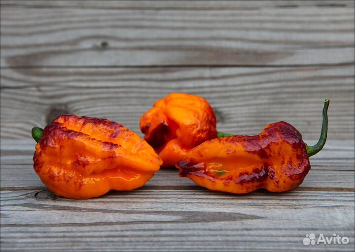 Семена острых и сверхострых перцев