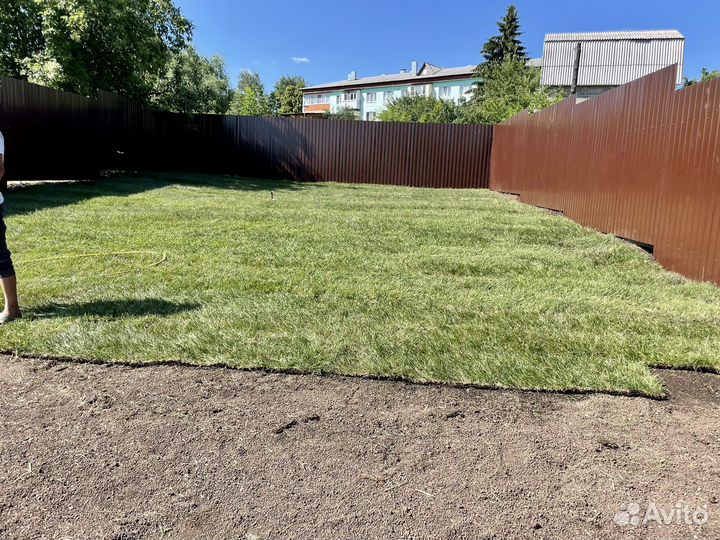 Грунт под газон доставка