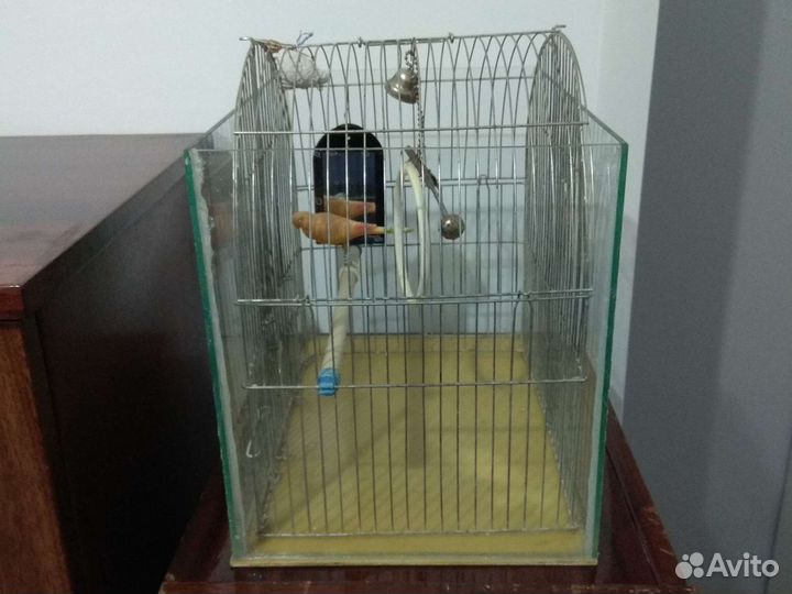 Клетка для попугая или аквариум