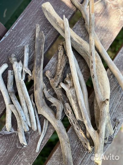 Набор палочек коряг