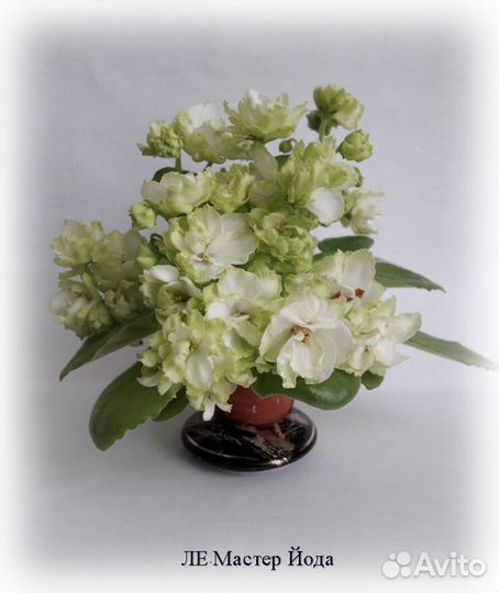 Минифиалки. Лист на срез