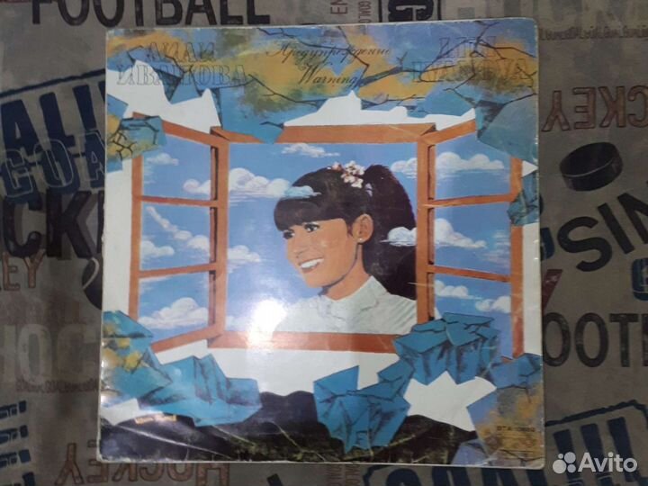 Виниловая пластинка