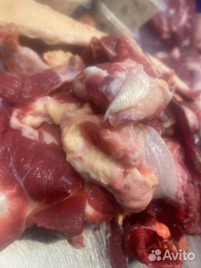 Головная обрезь для животных, мясная