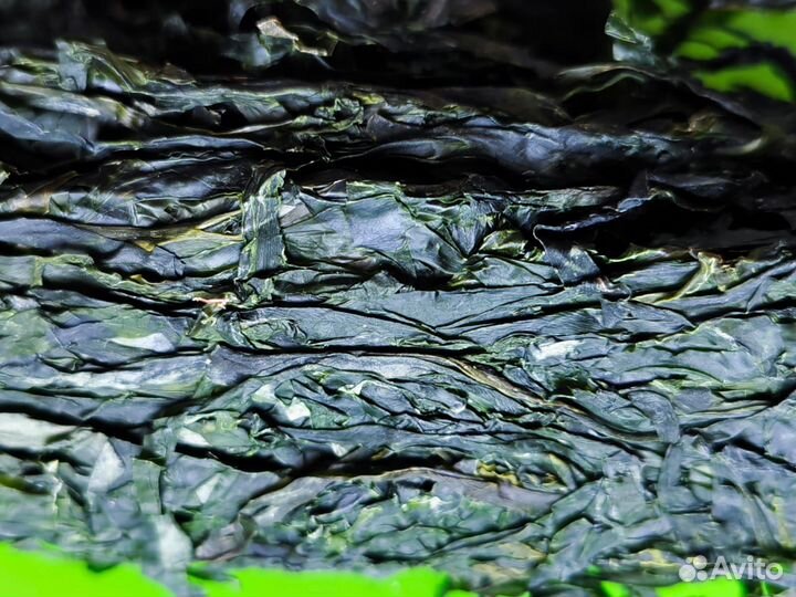 Продаю сублимированную морскую капусту
