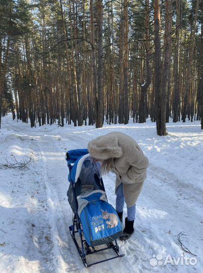 Санки коляска ника