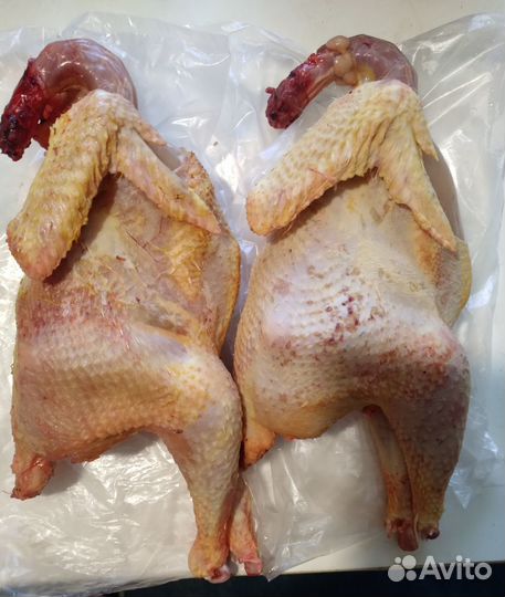 Мясо молодых домашних петушков