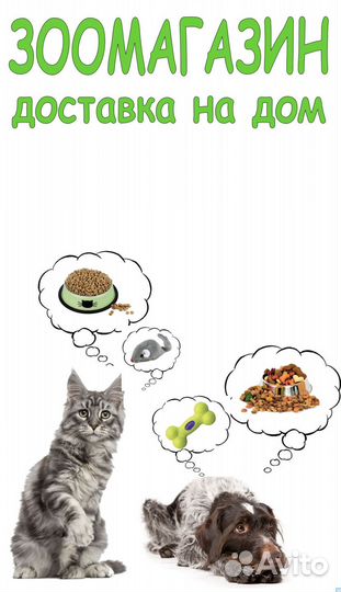 Dailycat casual корм для взрослых кошек с индейкой