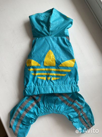 Дождевик для маленькой собаки