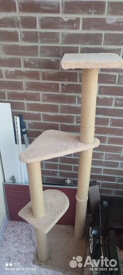 Когтеточка