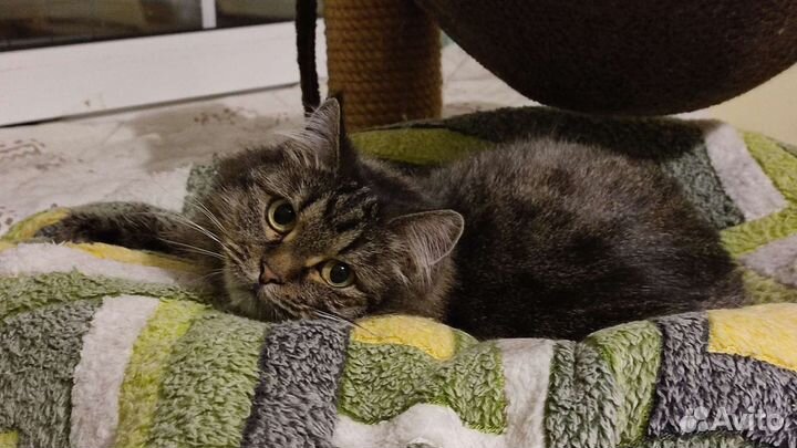 Шикарная Пати