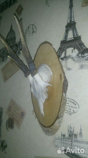 Натуральное панно 