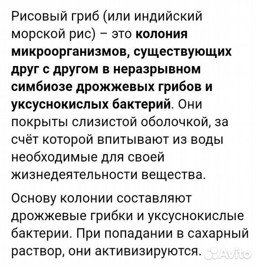 Рис Морской, Индийский, эко- напиток домашний