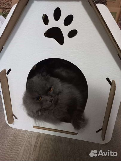 Домики для кошек сборные. Новые