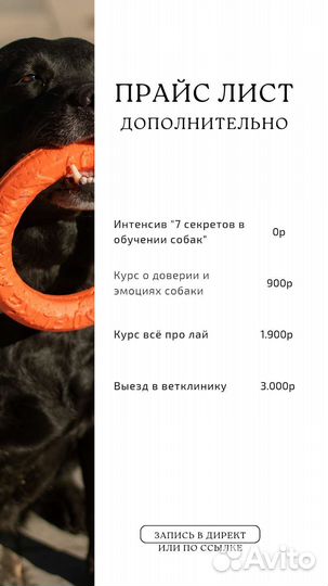 Передержка с дрессировкой, агрессия, страх