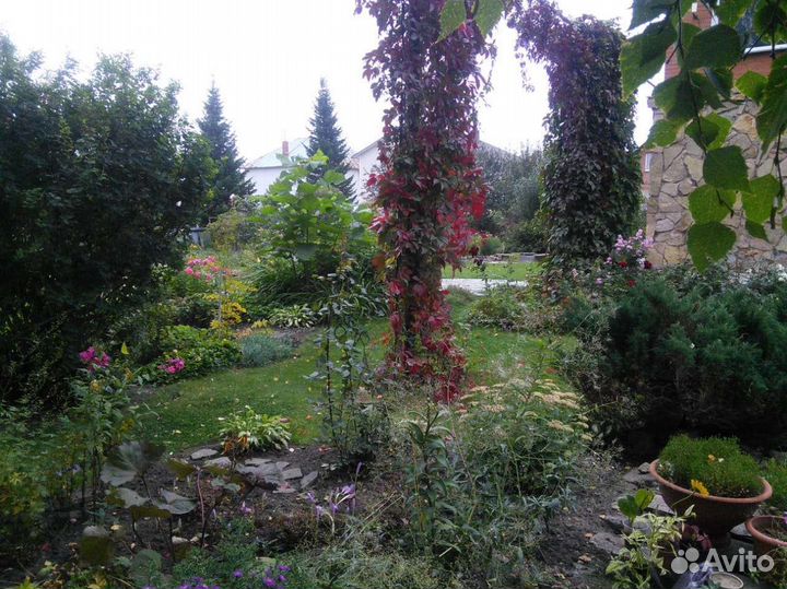 Садовые растения