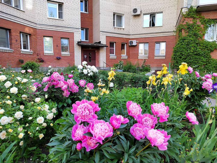 2-к. квартира, 57,5 м², 1/6 эт.