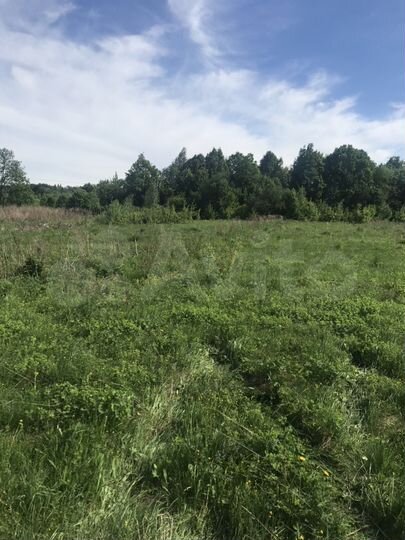 Участок 4 га (ИЖС)