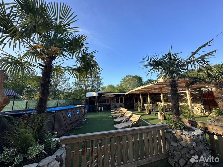 Отдых на Море Лоо Сочи Вардане