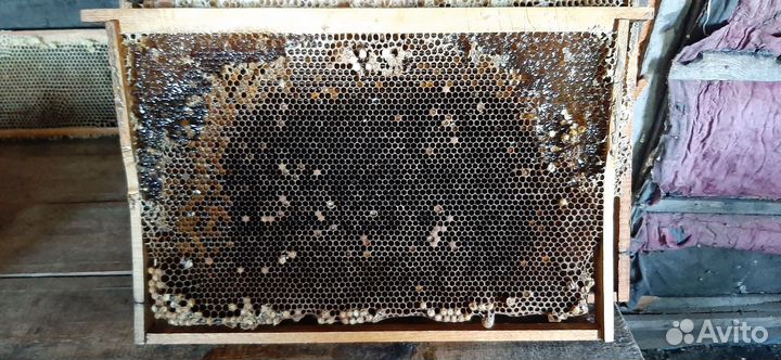 Мед натуральный