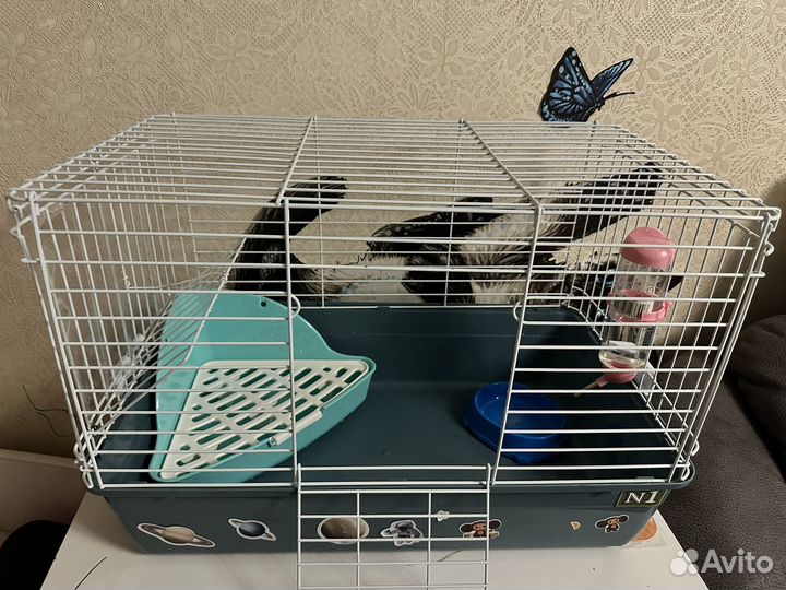 Клетка для декоративного кролика