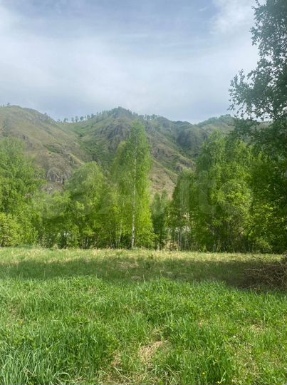 Участок 66 сот. (СНТ, ДНП)