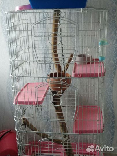 Клетка для грызунов большая