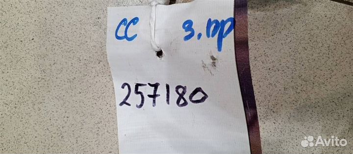 Панель двери задней правой Volkswagen Passat CC 2