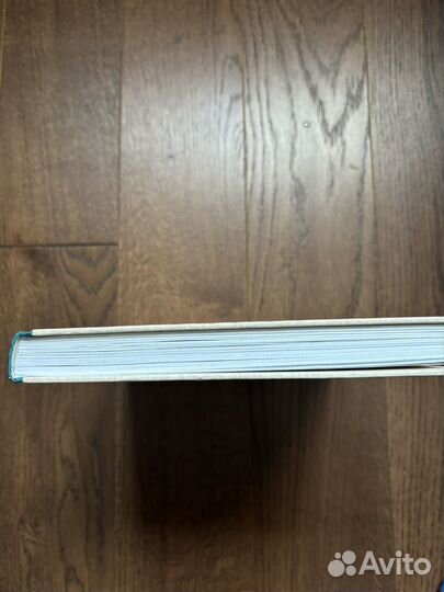 Приключения летучей мышки Бэллы. В.Вакуленко