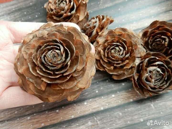 Набор шишек