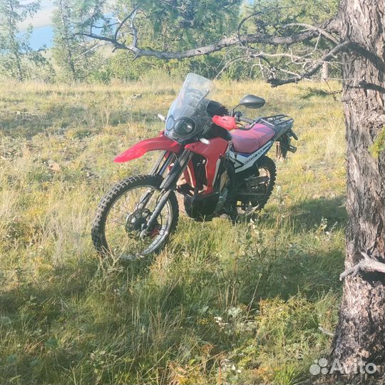 Motoland dakar 250lt